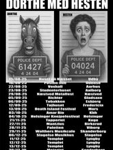 Indlæs billede til gallerivisning Dorthe med hesten
